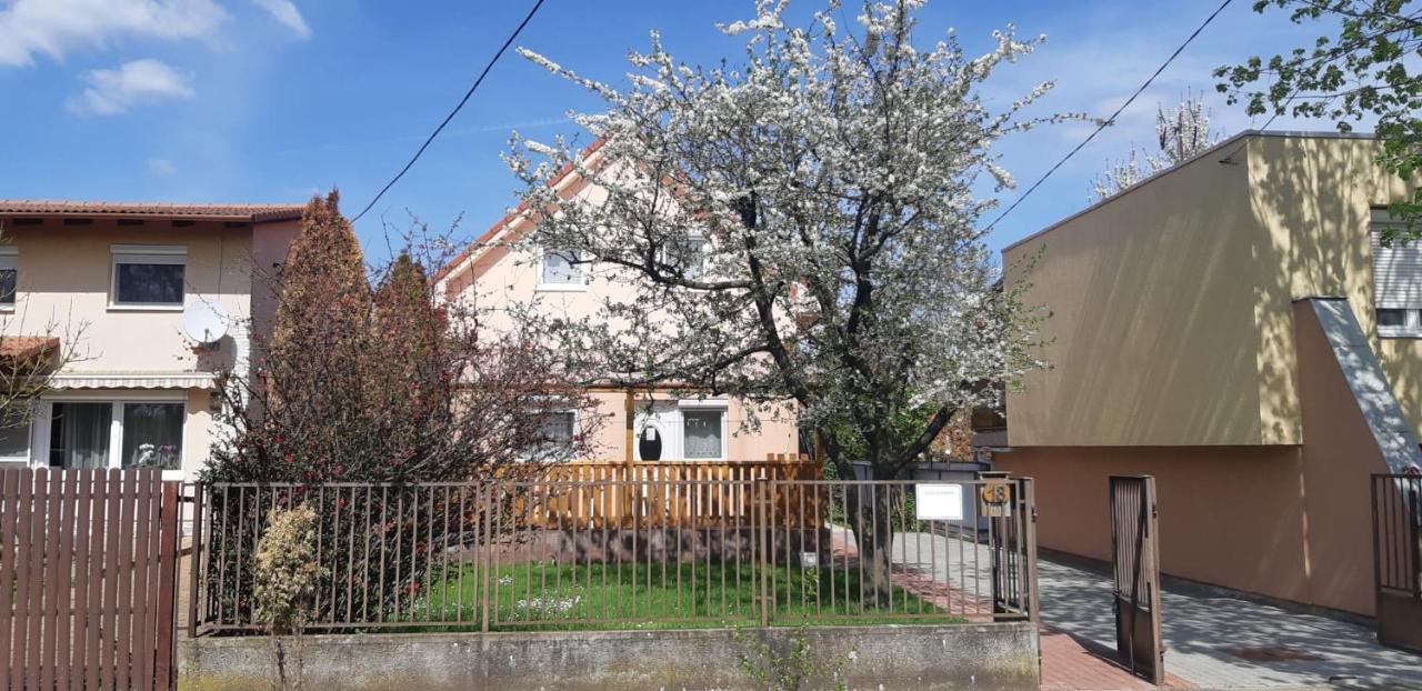 Rozsa Apartment Hajdúszoboszló 외부 사진